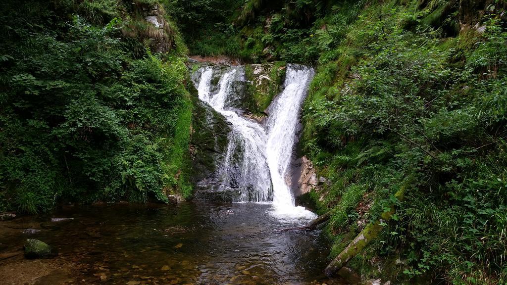 Апарт отель Ehrenmattlehof Faisst Бад-Петерсталь-Грисбах Экстерьер фото