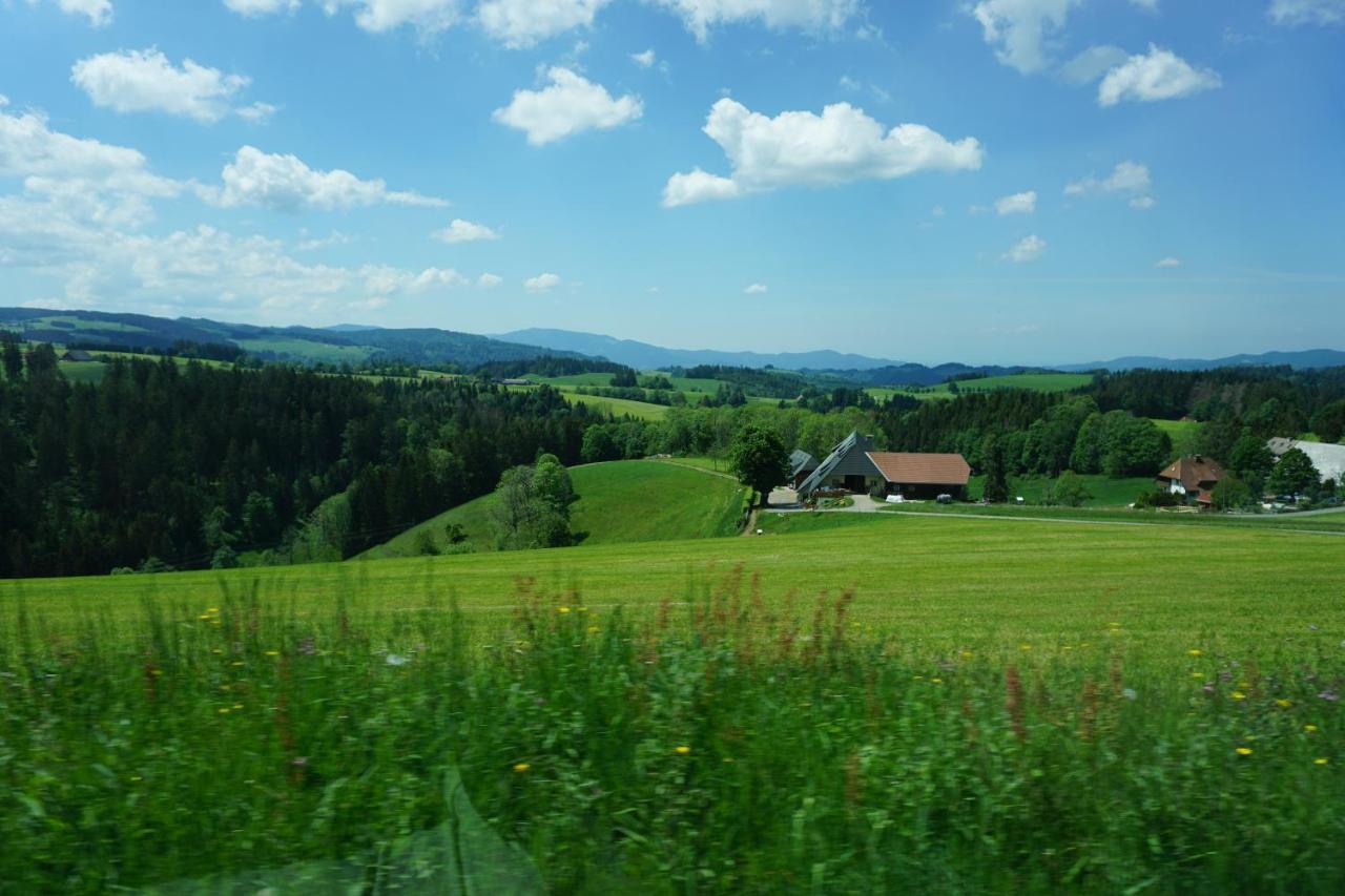 Апарт отель Ehrenmattlehof Faisst Бад-Петерсталь-Грисбах Экстерьер фото