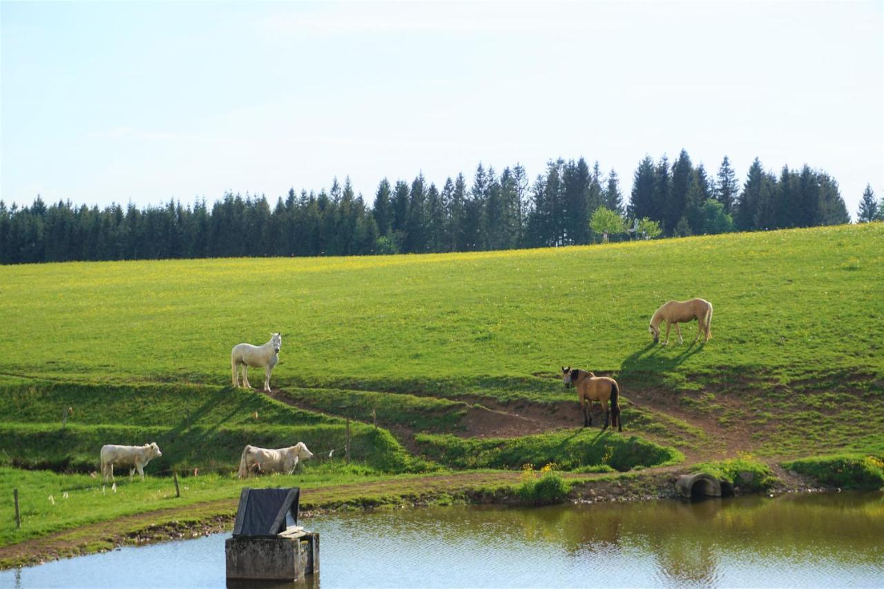 Апарт отель Ehrenmattlehof Faisst Бад-Петерсталь-Грисбах Экстерьер фото