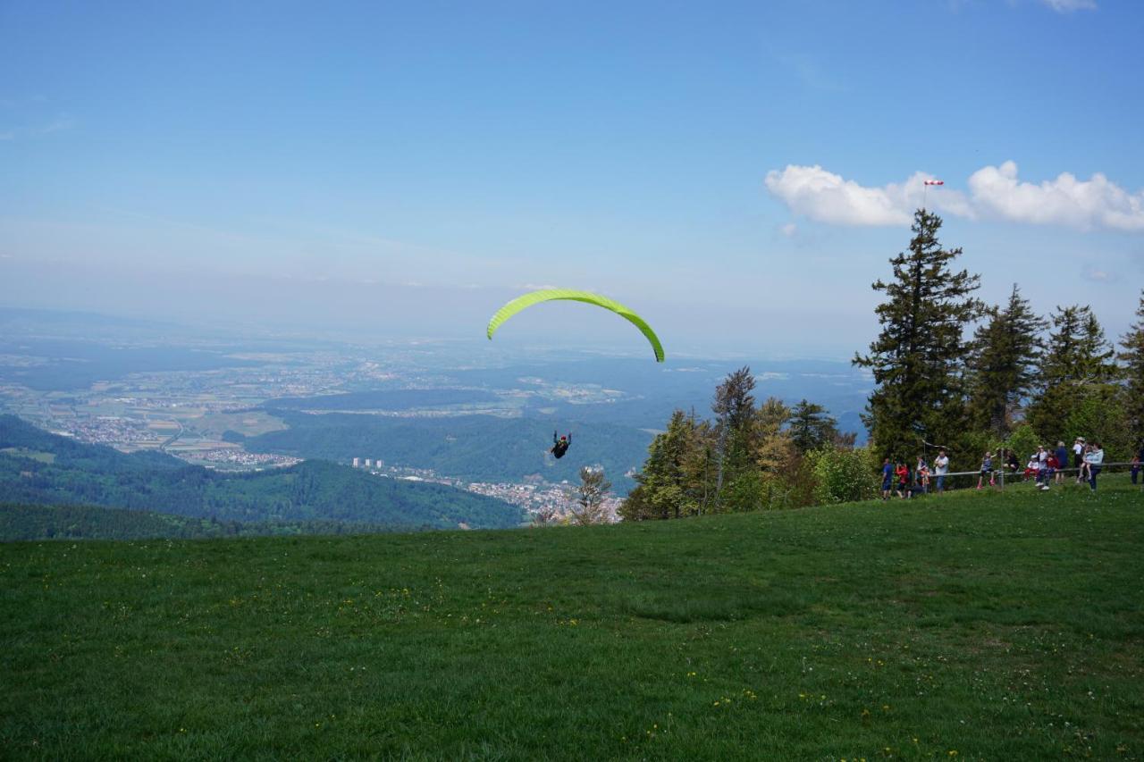 Апарт отель Ehrenmattlehof Faisst Бад-Петерсталь-Грисбах Экстерьер фото