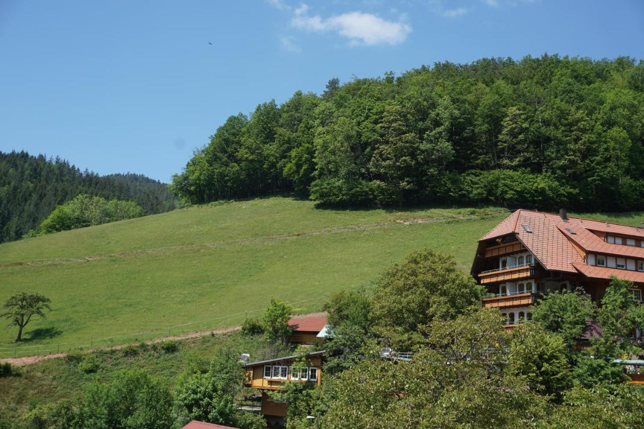 Апарт отель Ehrenmattlehof Faisst Бад-Петерсталь-Грисбах Экстерьер фото